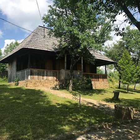 Granny'S House Villa Majszin Kültér fotó