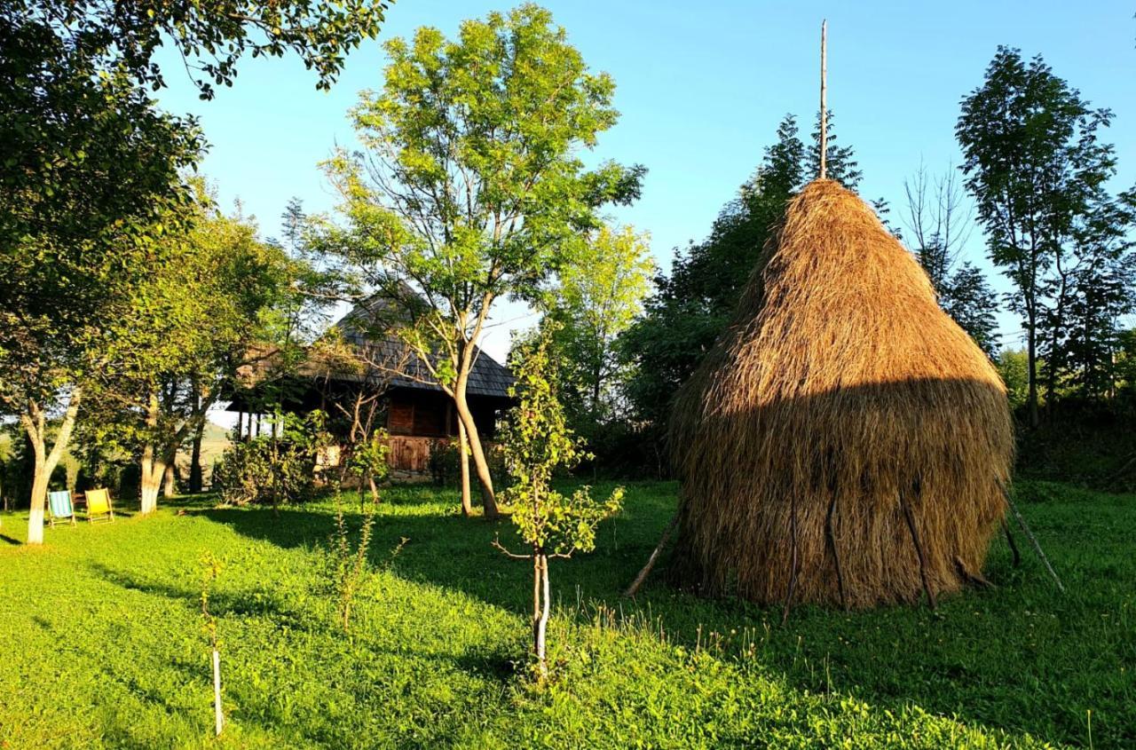 Granny'S House Villa Majszin Kültér fotó