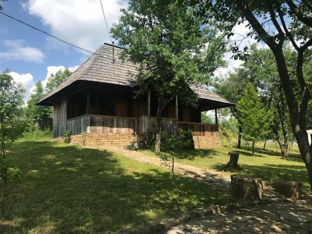 Granny'S House Villa Majszin Kültér fotó